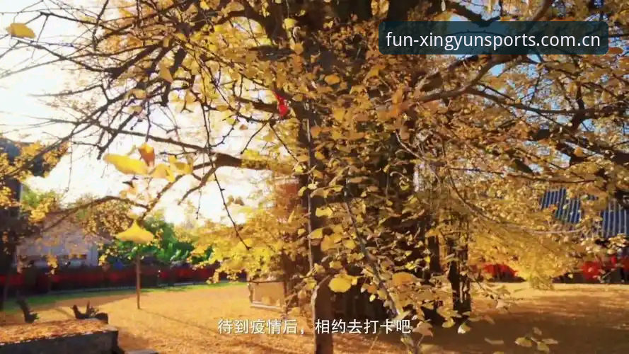 为什么说杏运体育娱乐简体中文官网更新日志值得玩家逐条细读？